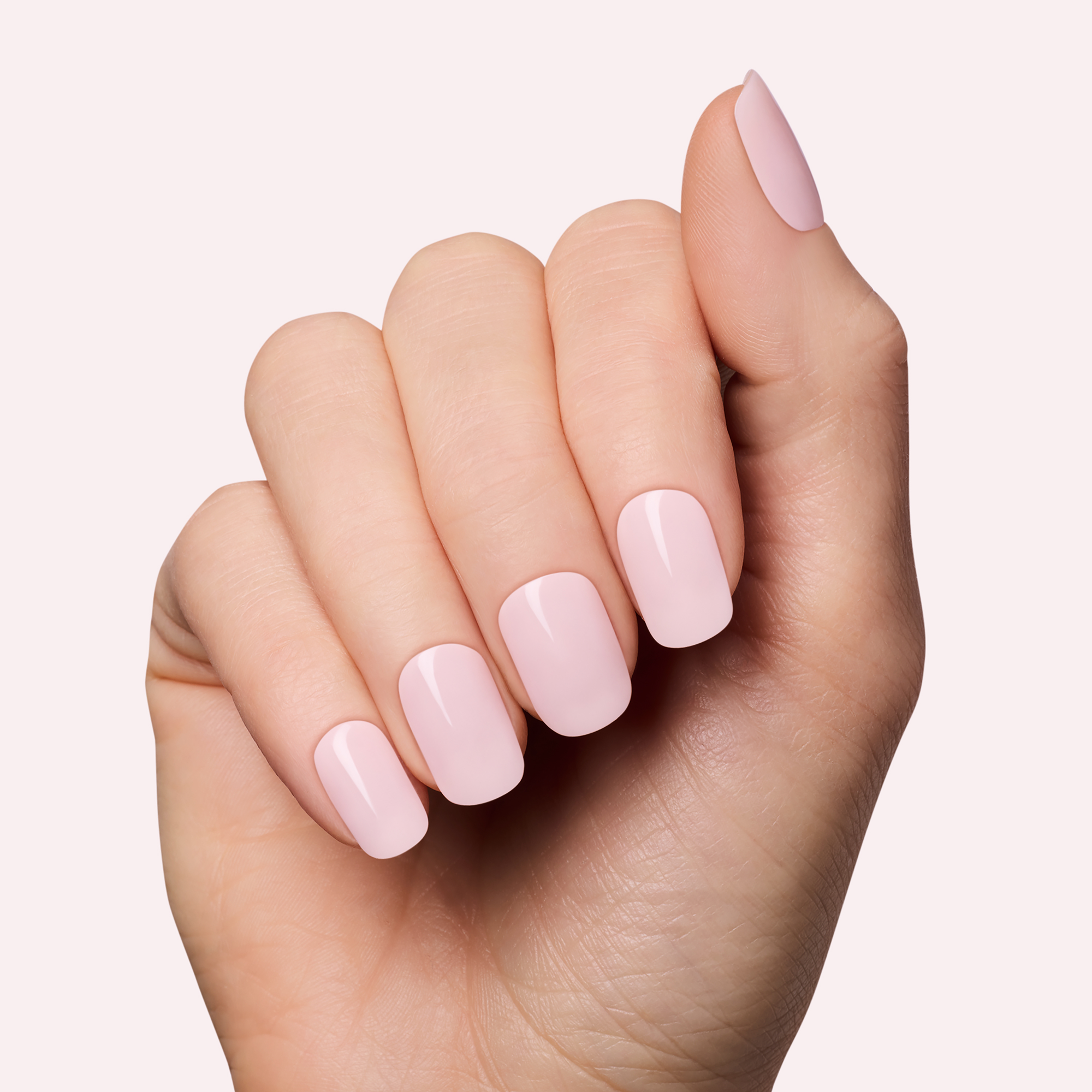 Pale Blush image thumbnail 2